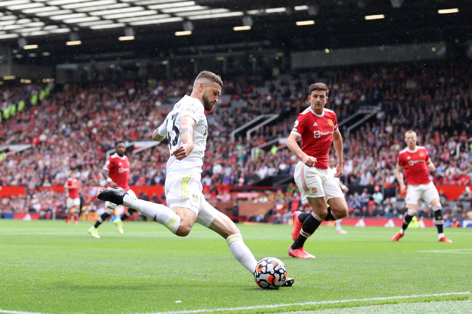 在未来的国 在未来的国