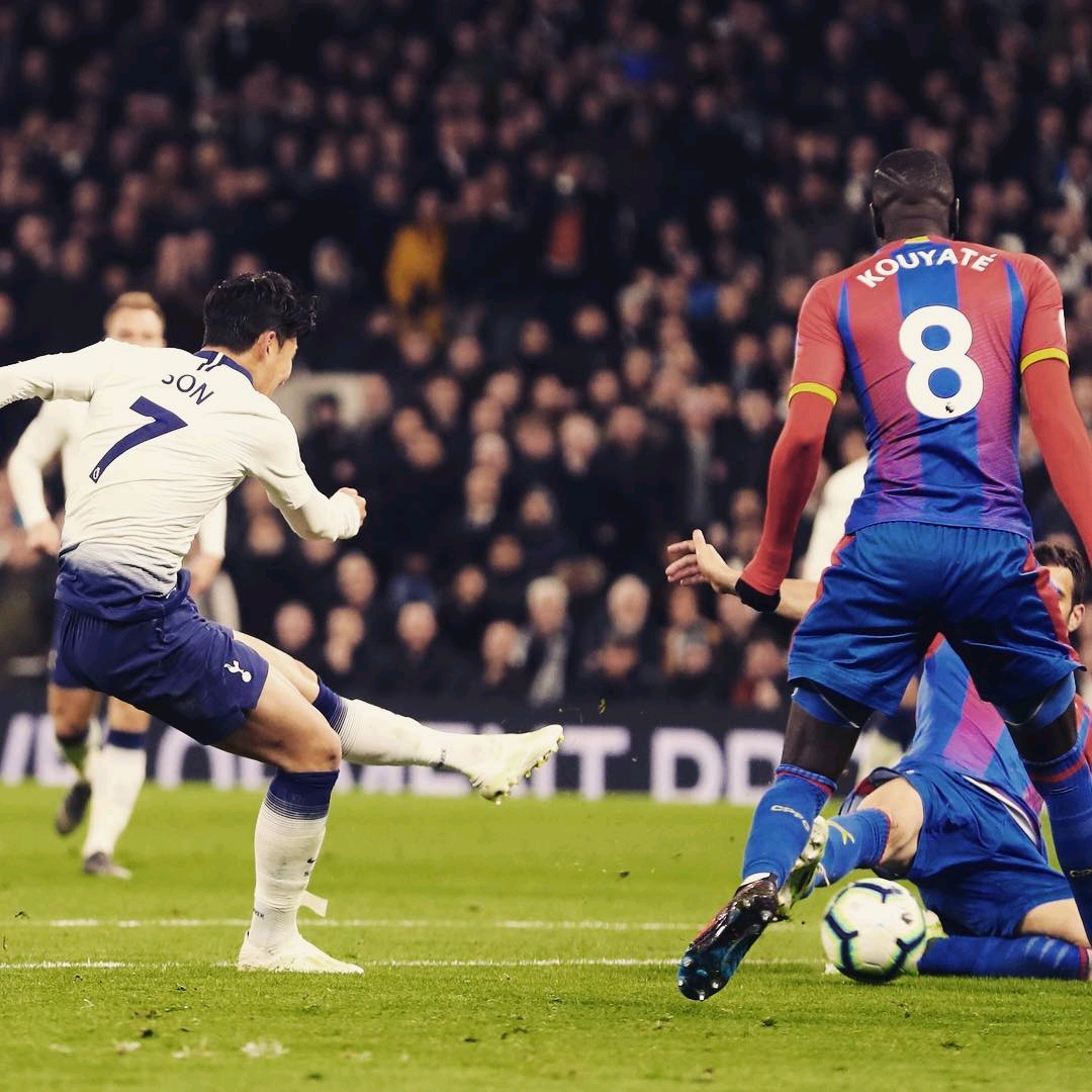 清晰地看到 清晰地看到